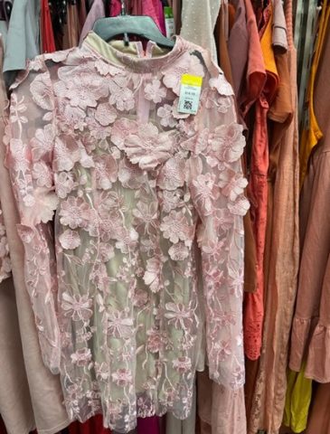 Pink Glinda Dress