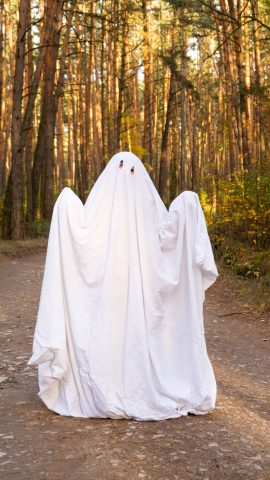 ghost halloween costume