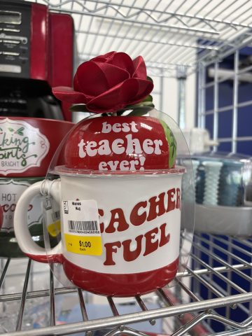 Mug that says best teacher ever